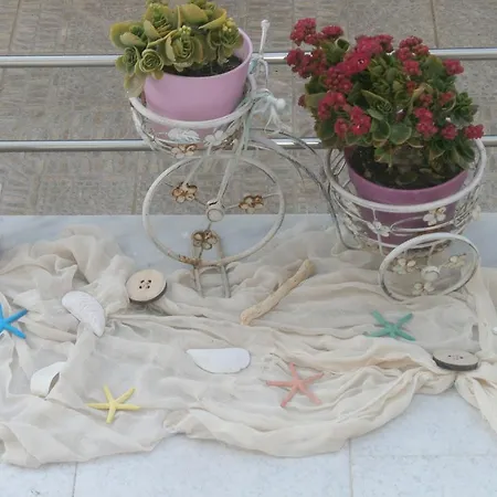 Antigoni Agia Galini (Crete)